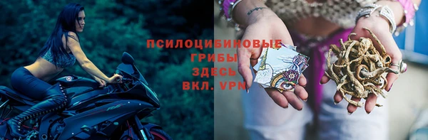 СК Анива