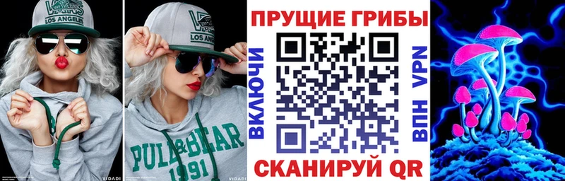 Галлюциногенные грибы GOLDEN TEACHER  блэк спрут как зайти  Абдулино 